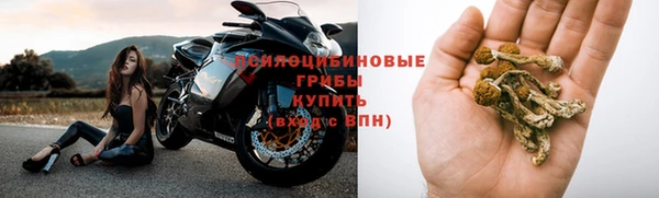 стаф Няндома