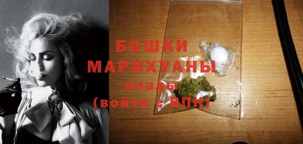 стаф Няндома