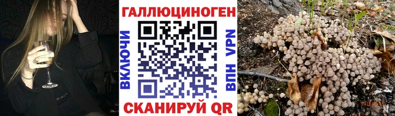 Галлюциногенные грибы Magic Shrooms  mega как войти  Юрьев-Польский 
